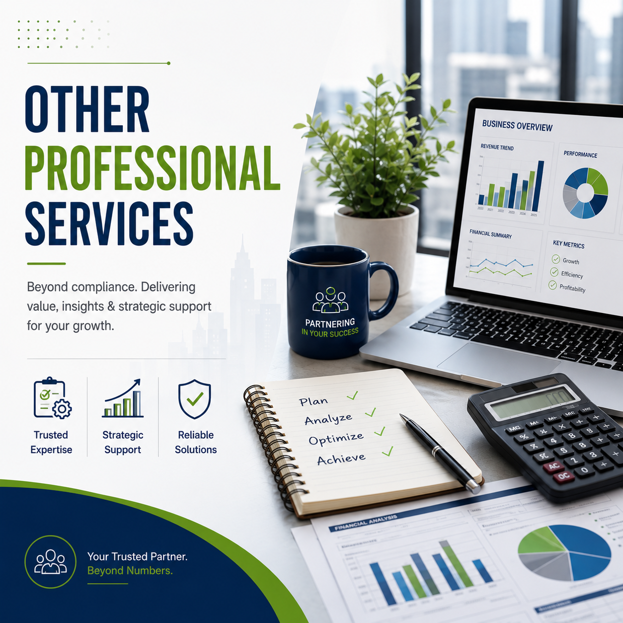 services other professional services